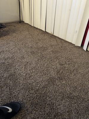 new carpet