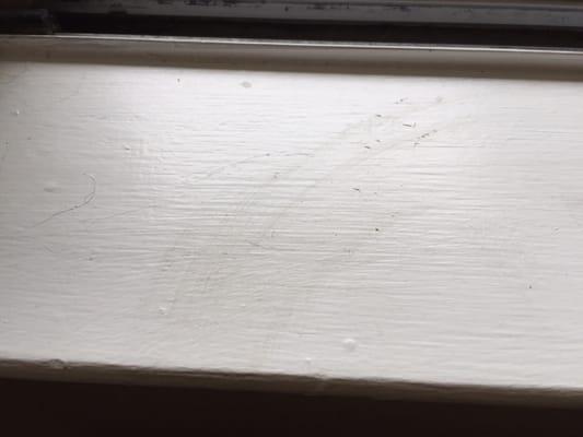 Each window sill looked like this, basic dirt and dust again that could easily be wiped away but was completely neglected