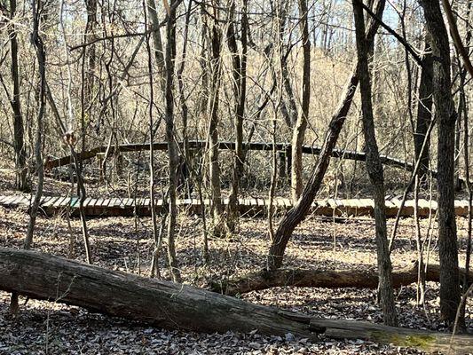 Elevated board walks on the mountain bike trail