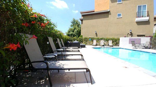 Lounge by the Pool