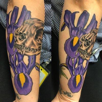 Irises and cat skull by Terry!