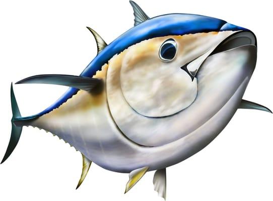 Bluefin clipart illustration