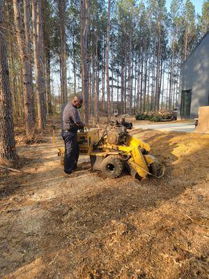 Hills Tree and Stump Service