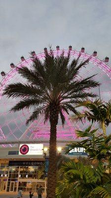 We are located directly in front of the picturesque Orlando Eye at i drive 360