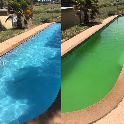 Green to clean pools this one was less that 24hrs