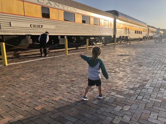 My son checking out the trains