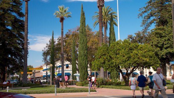 The Old Towne Orange Realtor