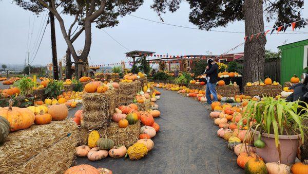 Andreotti Family Farm