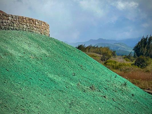 Slope stabilization via hydromulch