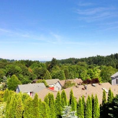 Roof top view today.  I wonder why there aren't any roof top decks around here?  Don't you think that would be awesome?