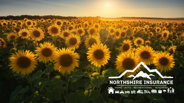 Northshire Insurance