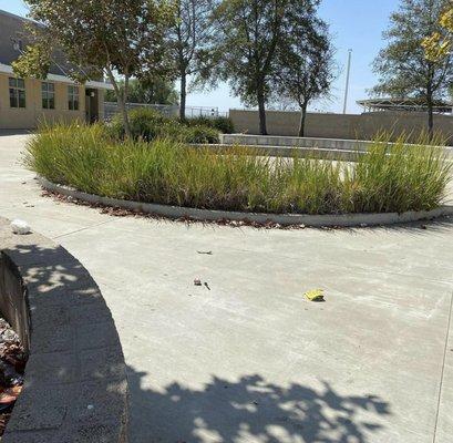 The area between some classes where students sit for lunch