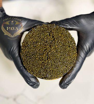 Kaluga Caviar