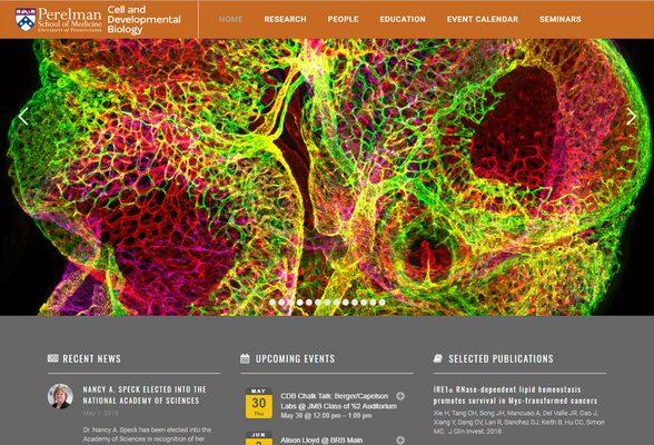 The Upenn Dept of Cell & Developmental Biology site features various research areas, faculty and staff profiles, a calendar and more.