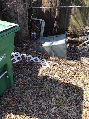 City power supply buried with tree roots