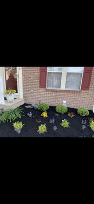 Planting and mulching