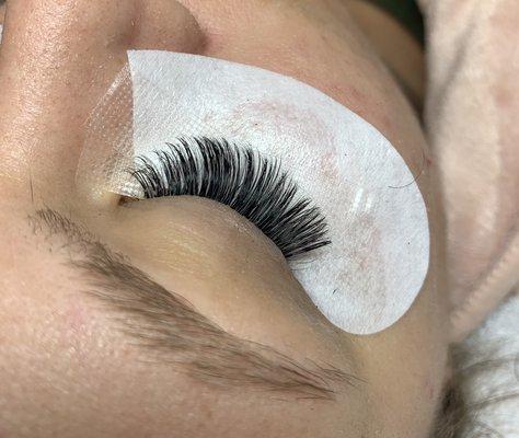 Lash Extensions