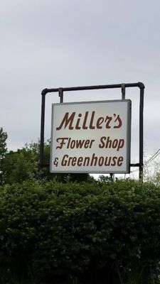 Millers Flower Shop by Kate