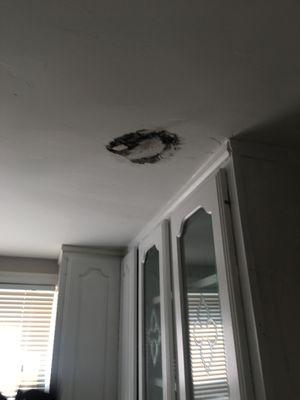 Drywall damage / mold due to toilet leak