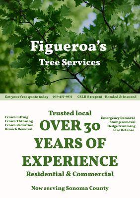 Tree Services