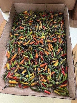 Thai chilis