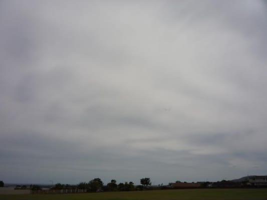 Looking towards the open field