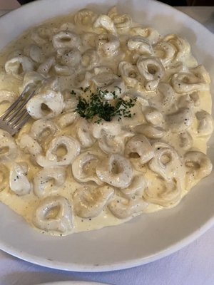 Tortellini Alfredo