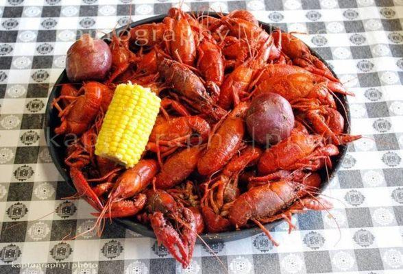 Crawfish in Lafayette LA