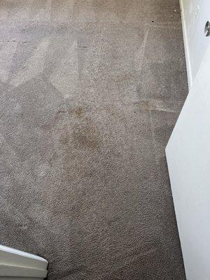 The room with the worst stain, after the company "cleaned" the carpet.