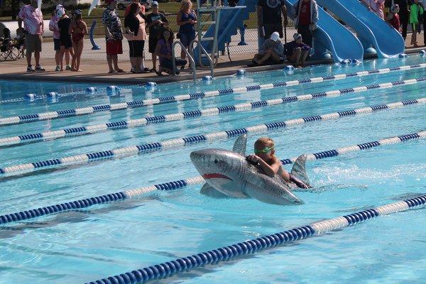 Tyrese, the mighty Tiger Shark, in the Mascot Challenge.