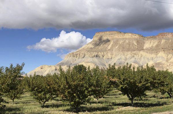 Mt Garfield, as seen from East Orchard Mesa.