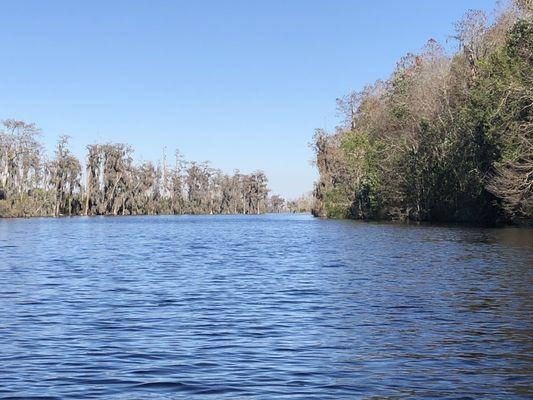 Open water - not what you typically think of in the swamp. This is Billie's Lake.