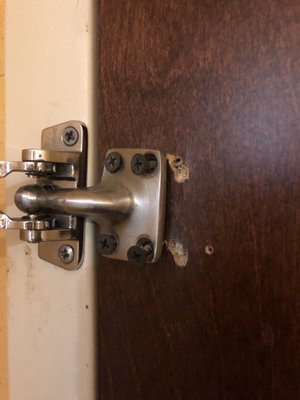 "Secure" door hinge