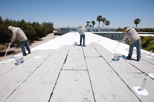 Cool Roofing, 2017