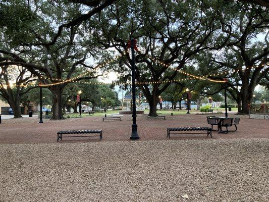 From the porch of Soul Freak looking out at the park