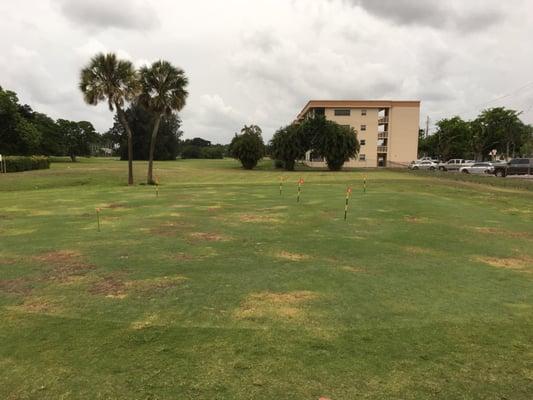 Chip and putt practice green off hole #1