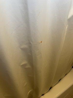 Dirty shower curtain