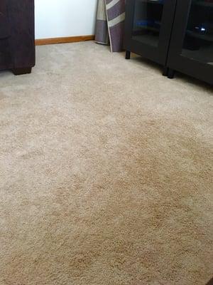 Tom really did an amazing job! Clean carpet with a fresh scent...my husband and I are impressed with his services. Thanks again!