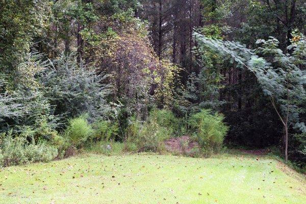 1.5 acres vacant lot  741 Timothy Dr. Ayden, NC