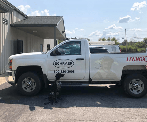 Our shop dog Tracker