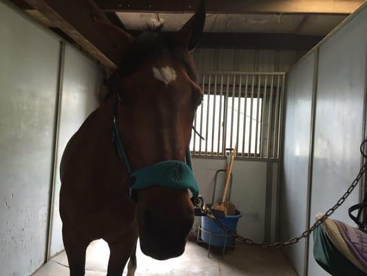 Valkyrie Equestrian Center