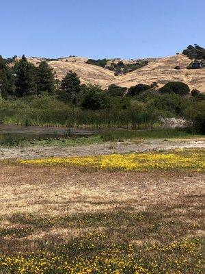 Zelinsky Park. In the background is St Hilary's Open Space.. Hiking trail is behind the town hall building.