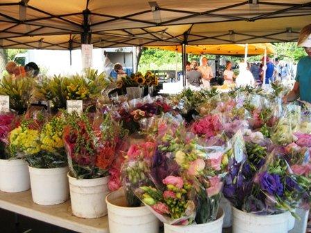 Farmers Market, Northfield