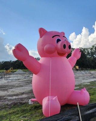 Pink pig