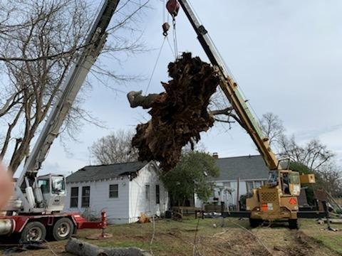 Curb Appeal Tree Service