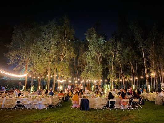 Reception with Lighting