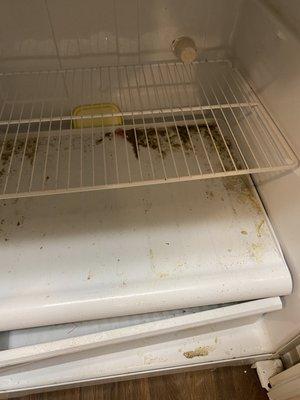 After several rescheduled dates for move in, unit released to tenant with filthy refrigerator and freezer.