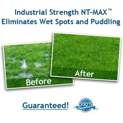 Eliminate Pump-Outs and Fully Restore Septic Tanks, Cesspits, Cesspools, Sand Mounds, Leach Fields, Drain Fields, Sludge Lagoons