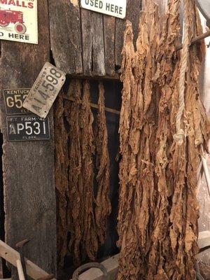 Tobacco exhibit