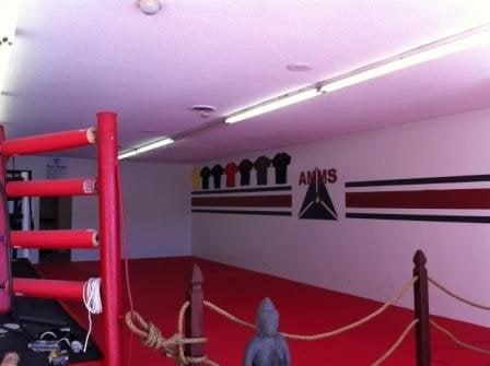 AMMA Mixed Martial Arts School